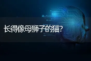 长得像母狮子的猫？