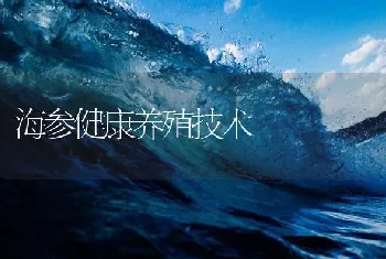 海参健康养殖技术