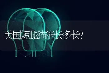 加菲猫是不是不抗冻？