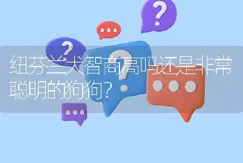 纽芬兰犬智商高吗还是非常聪明的狗狗？