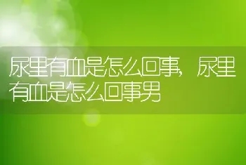 尿里有血是怎么回事，尿里有血是怎么回事男