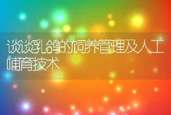 谈谈乳鸽的饲养管理及人工哺育技术