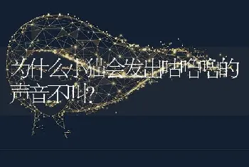 为什么小猫会发出咕噜噜的声音不叫？