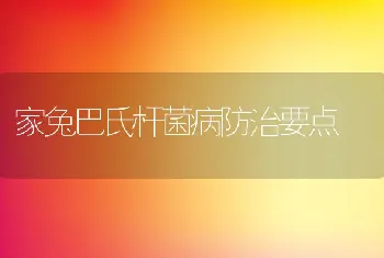 家兔巴氏杆菌病防治要点