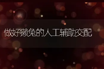 小猪断奶后别急着挪窝