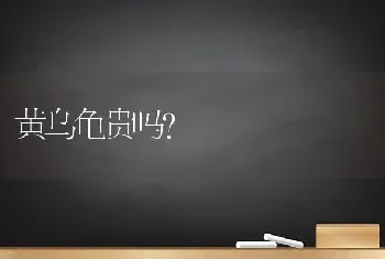 狗狗初期得了细小病毒治好的几率大？