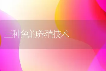 三种兔的养殖技术