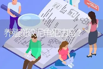 养殖斑纹泥龟犯法吗？