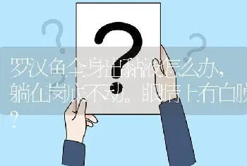 罗汉鱼全身出黏液怎么办，躺在岗底不动。眼睛上有白膜？