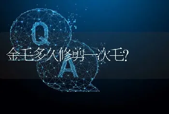 金毛多久修剪一次毛？