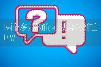 两个多月的狗可以帮它剃毛吗？