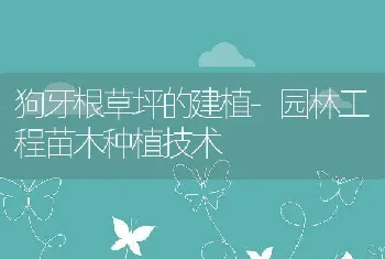 江苏高邮市强化罗氏沼虾中后期养殖技术管理