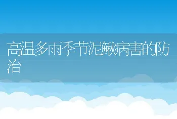 过冬之前应积极预防日本鳗鱼鳃肾炎