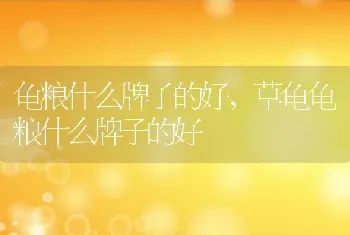 龟粮什么牌子的好，草龟龟粮什么牌子的好