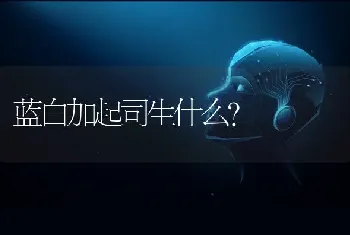 蓝白加起司生什么？