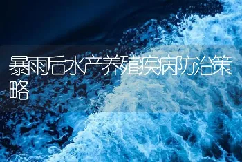 暴雨后水产养殖疾病防治策略