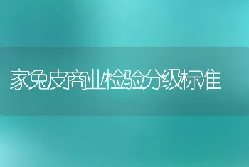 家兔皮商业检验分级标准