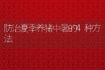 獭兔种公兔饲养管理四控制