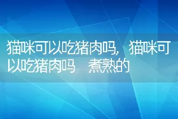 猫咪可以吃猪肉吗，猫咪可以吃猪肉吗 煮熟的