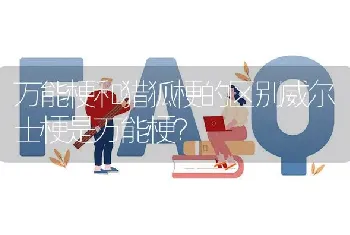 万能梗和猎狐梗的区别威尔士梗是万能梗？