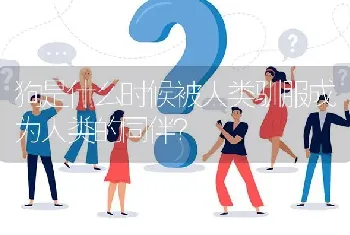 狗是什么时候被人类驯服成为人类的同伴？