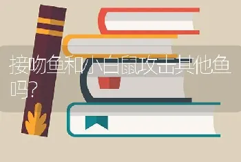 接吻鱼和小白鼠攻击其他鱼吗？