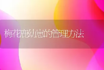 梅花鹿幼崽的管理方法