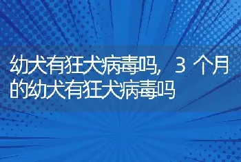 幼犬有狂犬病毒吗，3个月的幼犬有狂犬病毒吗