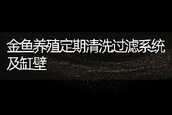 金鱼养殖定期清洗过滤系统及缸壁