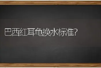 卫仕和诚实一口猫粮哪个好？