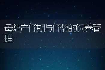 母貉产仔期与仔貉的饲养管理