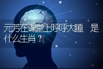 元芳在课堂上呼呼大睡 是什么生肖？