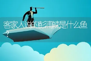 客家人说的彭浦辣是什么鱼？