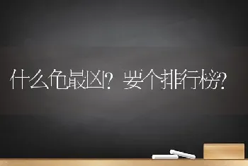 公猫多大不能绝育？