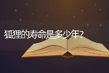 狗狗好几天不吃东西还呕痰？