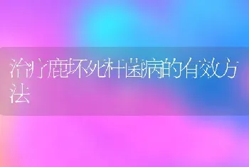 治疗鹿坏死杆菌病的有效方法