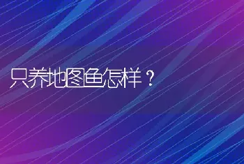 只养地图鱼怎样？