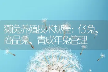 獭兔养殖技术规程：仔兔、商品兔、青成年兔管理