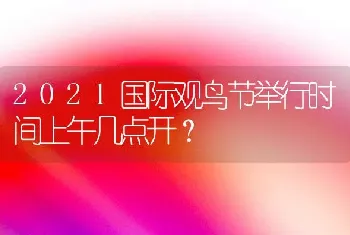 2021国际观鸟节举行时间上午几点开？