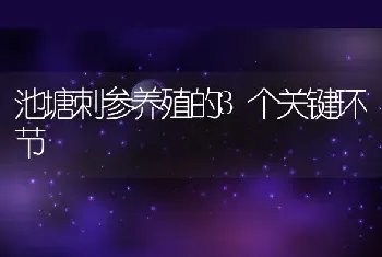 池塘刺参养殖的3个关键环节