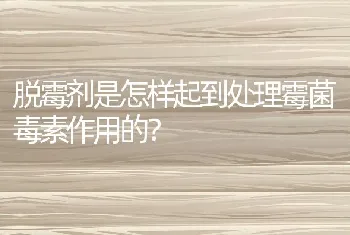 脱霉剂是怎样起到处理霉菌毒素作用的？