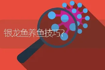 银龙鱼养鱼技巧？