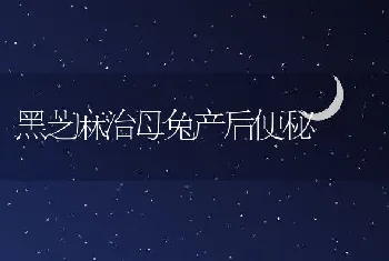 黑芝麻治母兔产后便秘