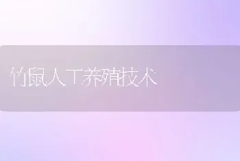 竹鼠人工养殖技术