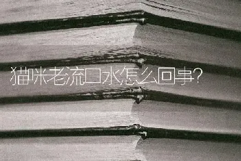 猫咪老流口水怎么回事？