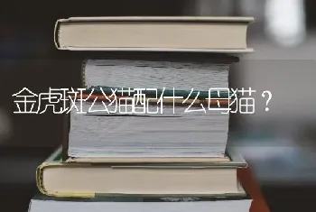 西安哪里有正规的犬舍？