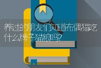 狗狗眼睛红眼屎多可以用红霉素软膏吗？