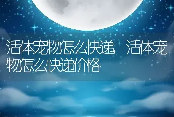 活体宠物怎么快递，活体宠物怎么快递价格