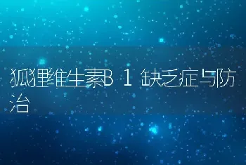 狐狸维生素B1缺乏症与防治