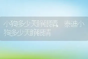 小狗多少天睁眼睛，泰迪小狗多少天睁眼睛